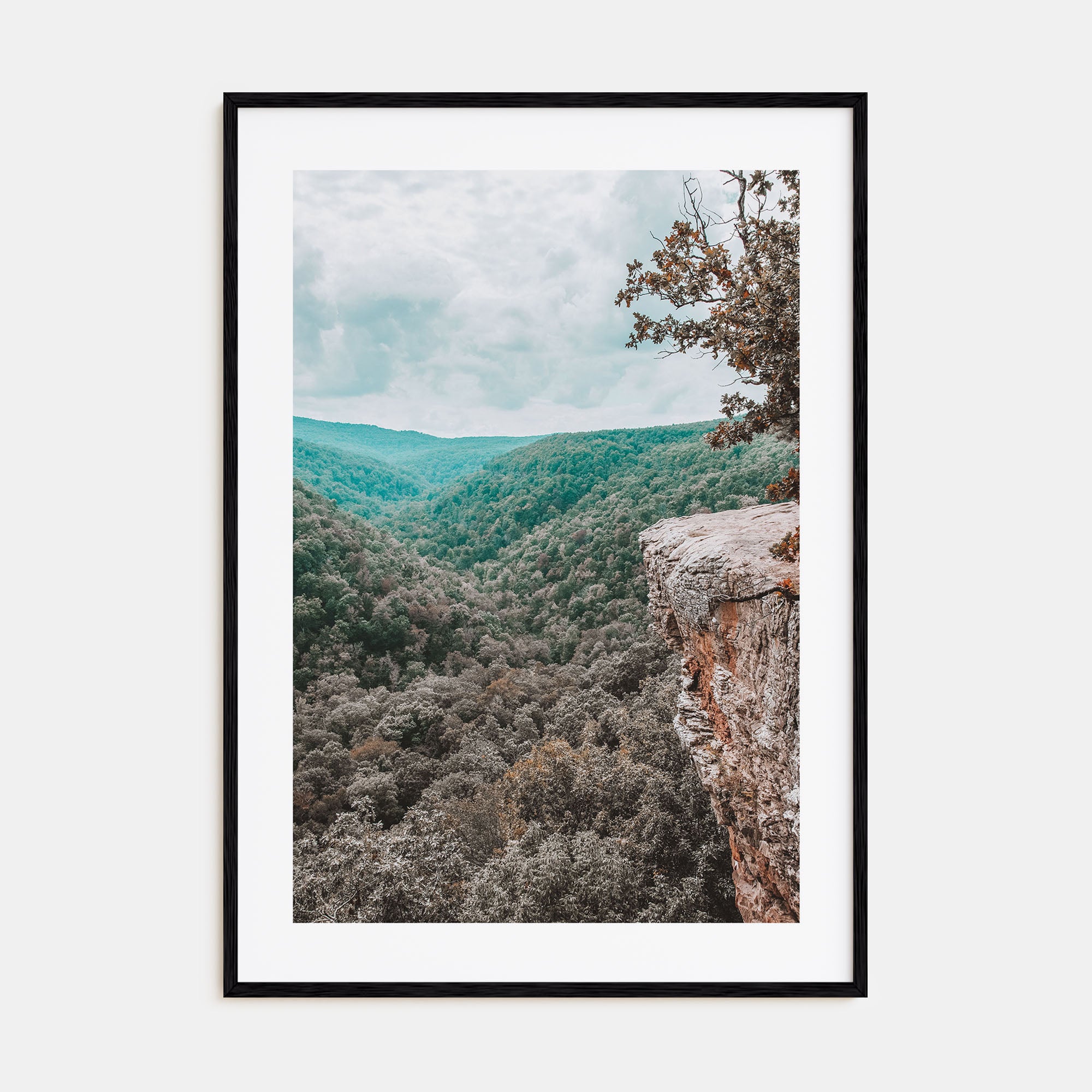 Arkansas Photo Color No 1 Poster