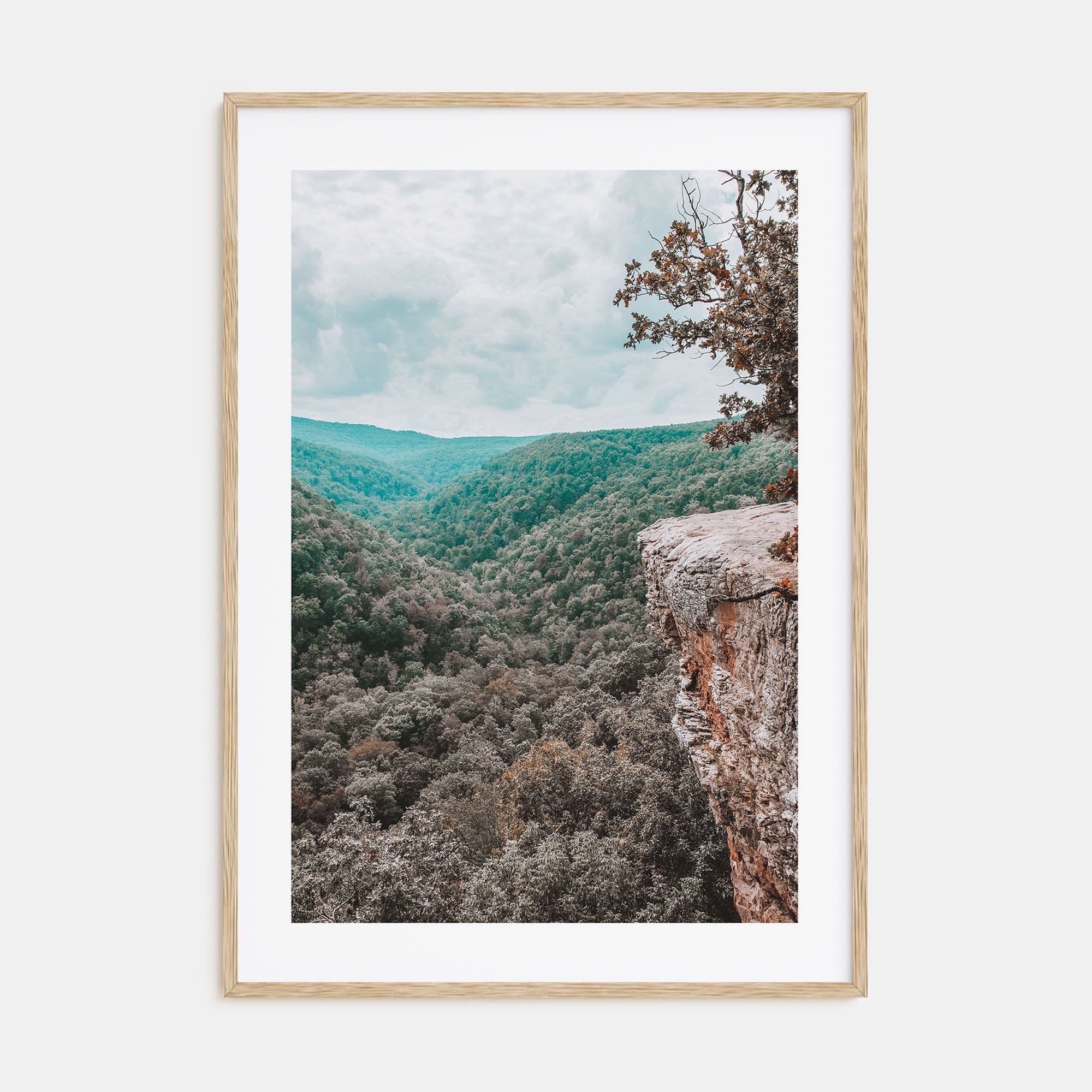 Arkansas Photo Color No 1 Poster