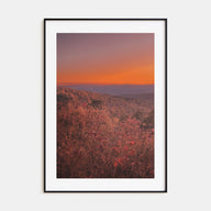 Arkansas Photo Color No 3 Poster