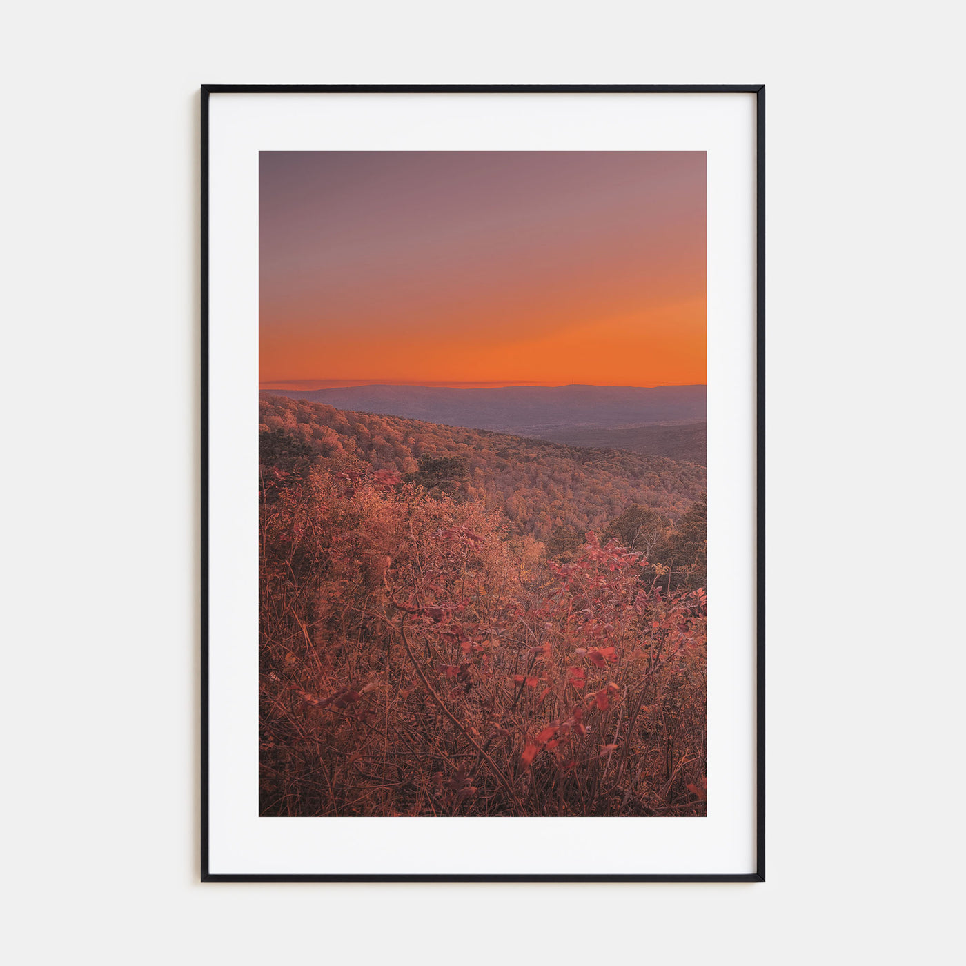 Arkansas Photo Color No 3 Poster