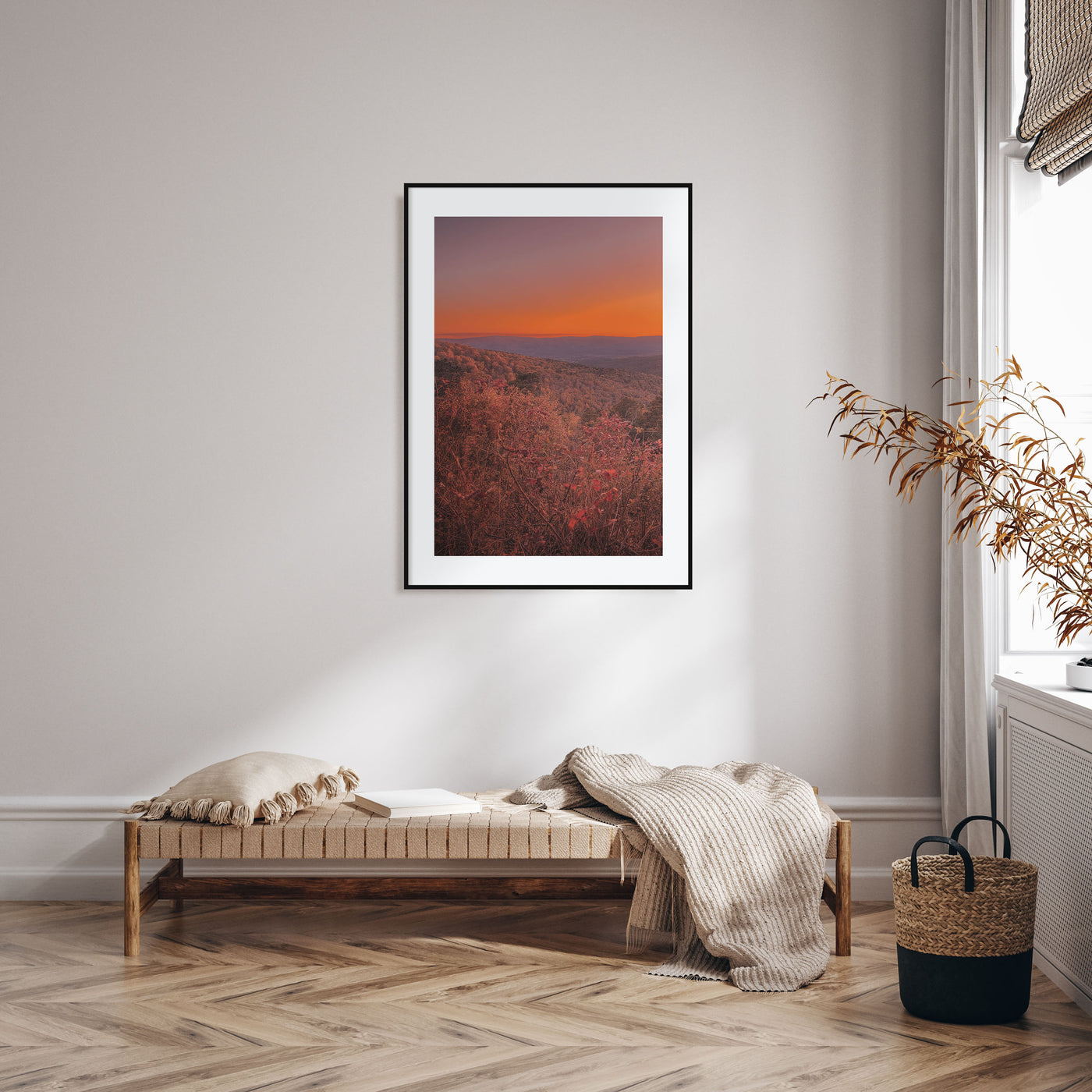 Arkansas Photo Color No 3 Poster