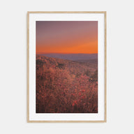 Arkansas Photo Color No 3 Poster