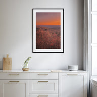 Arkansas Photo Color No 3 Poster