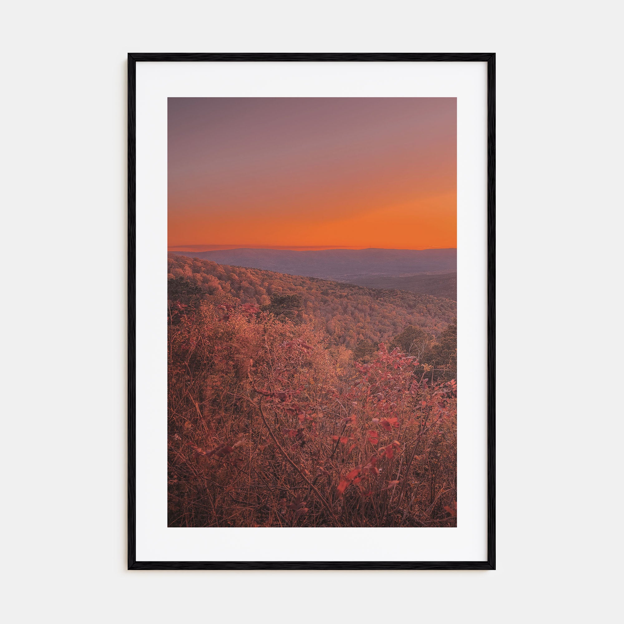 Arkansas Photo Color No 3 Poster