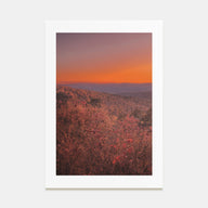Arkansas Photo Color No 3 Poster