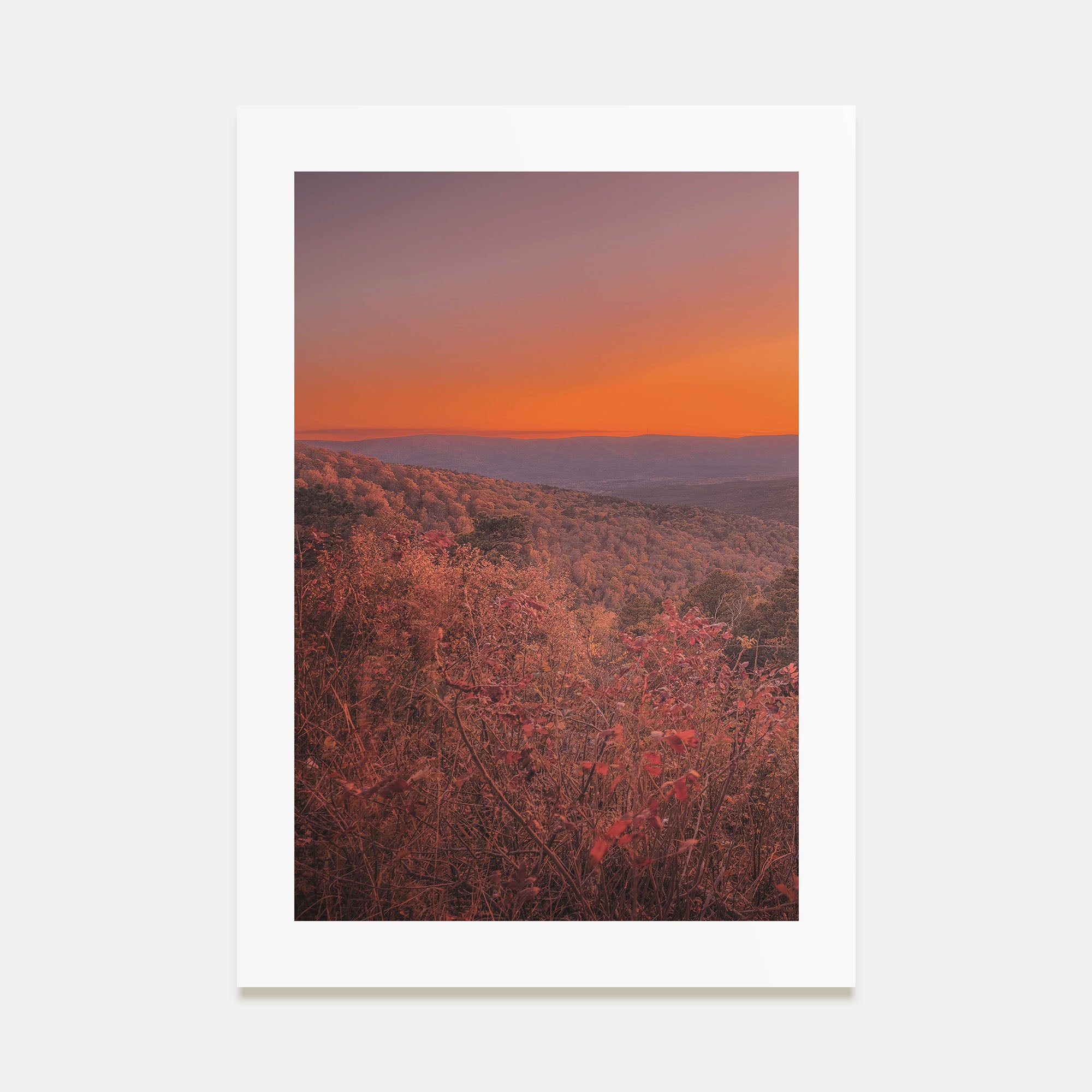 Arkansas Photo Color No 3 Poster