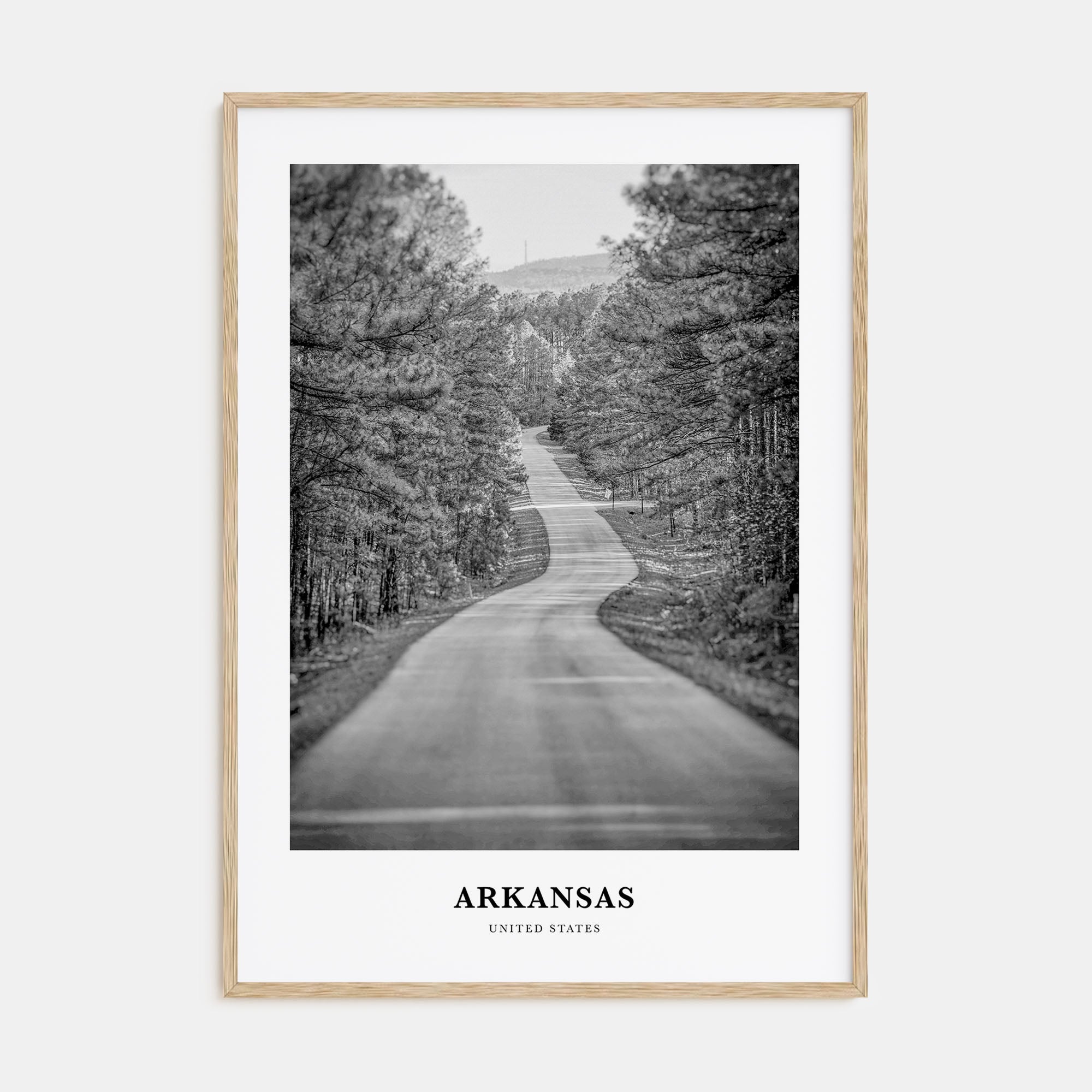 Arkansas Portrait B&W No 2 Poster