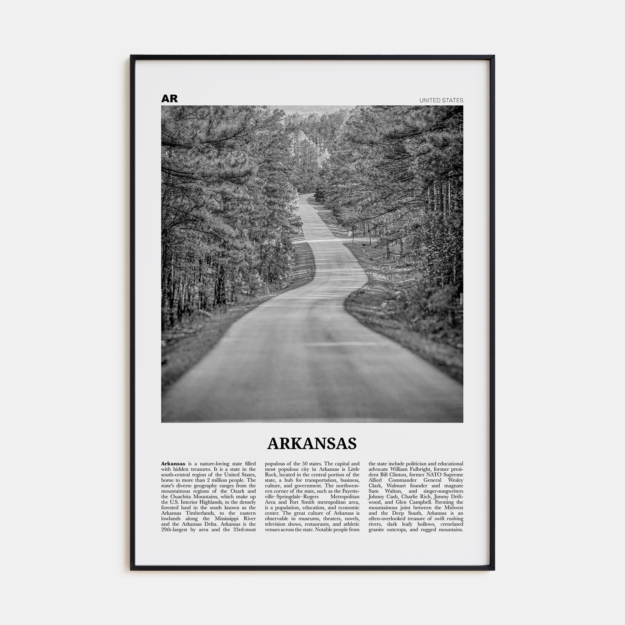 Arkansas Travel B&W No 1 Poster