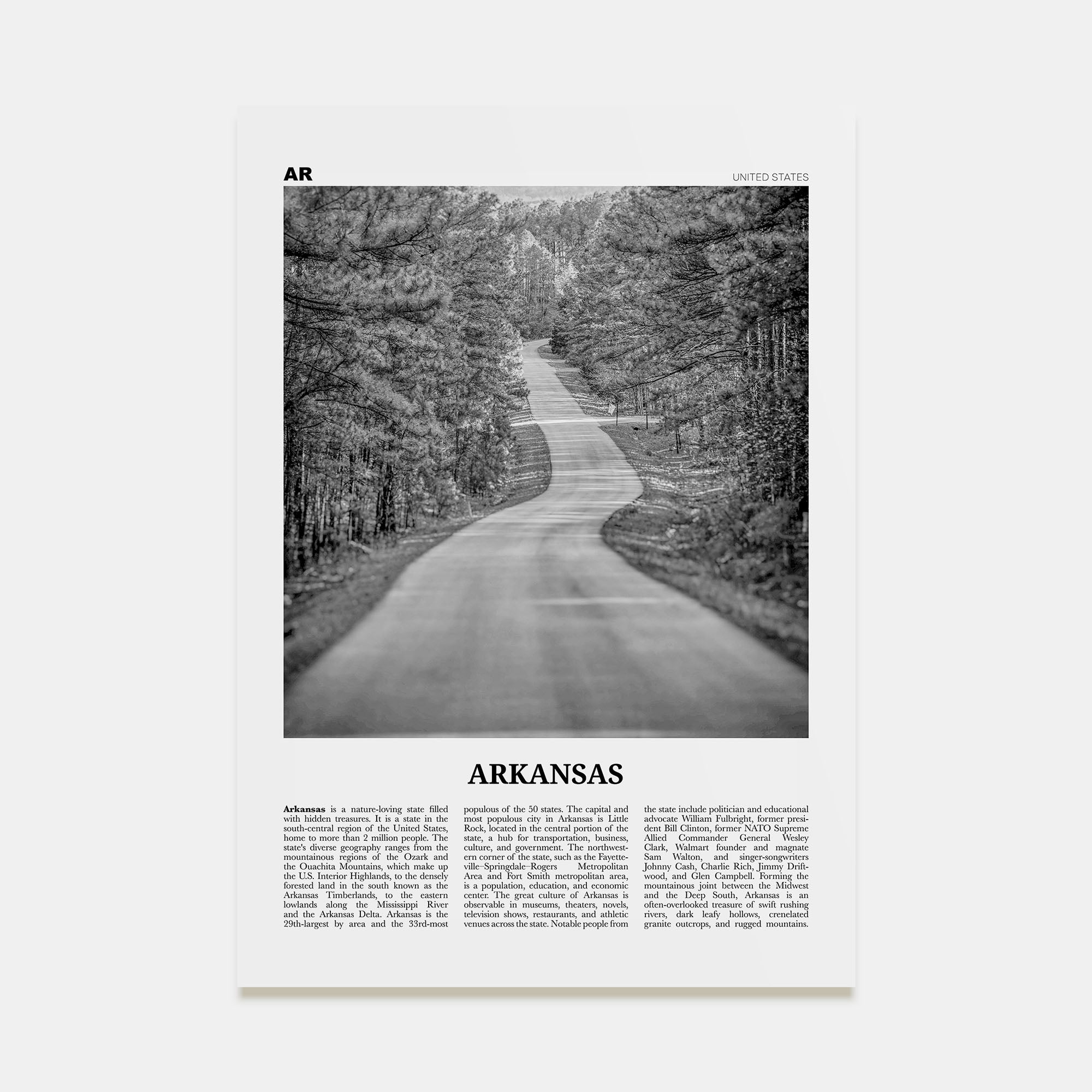 Arkansas Travel B&W No 1 Poster