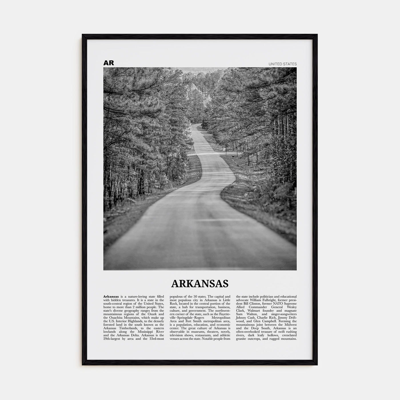 Arkansas Travel B&W No 1 Poster