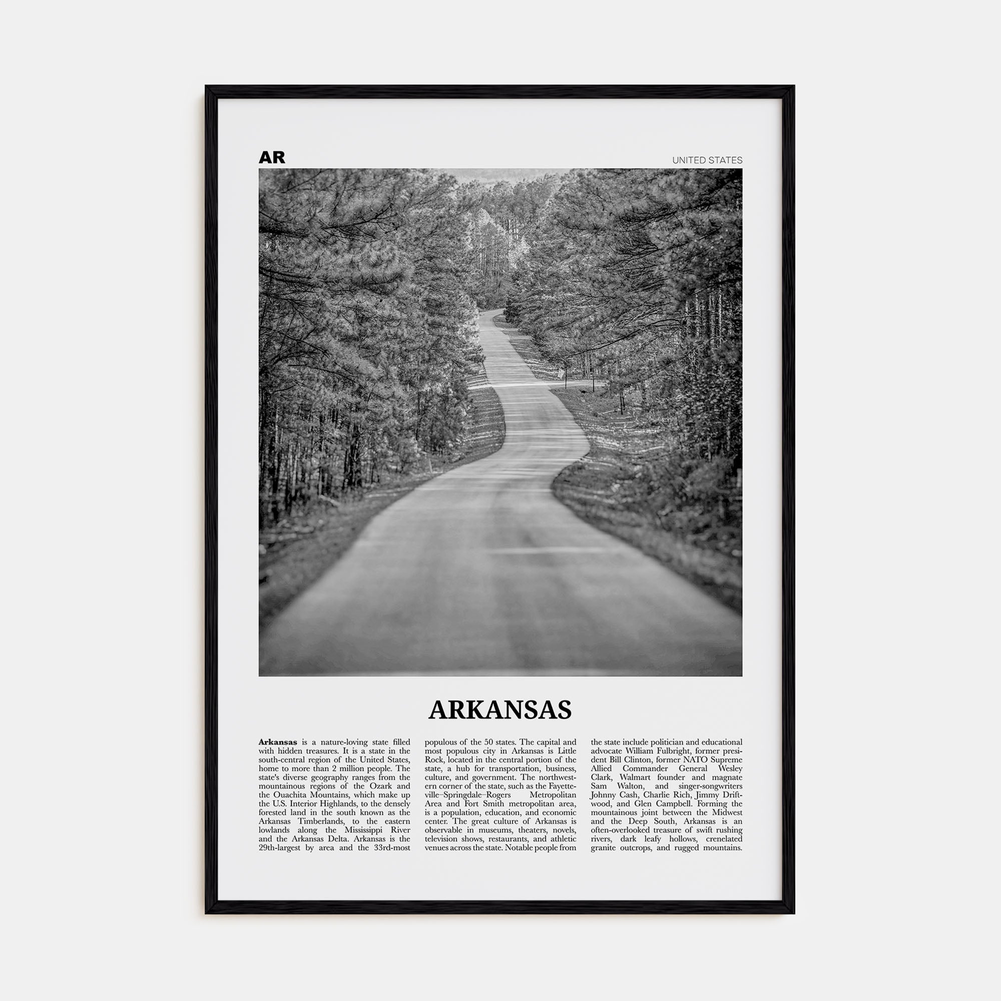 Arkansas Travel B&W No 1 Poster