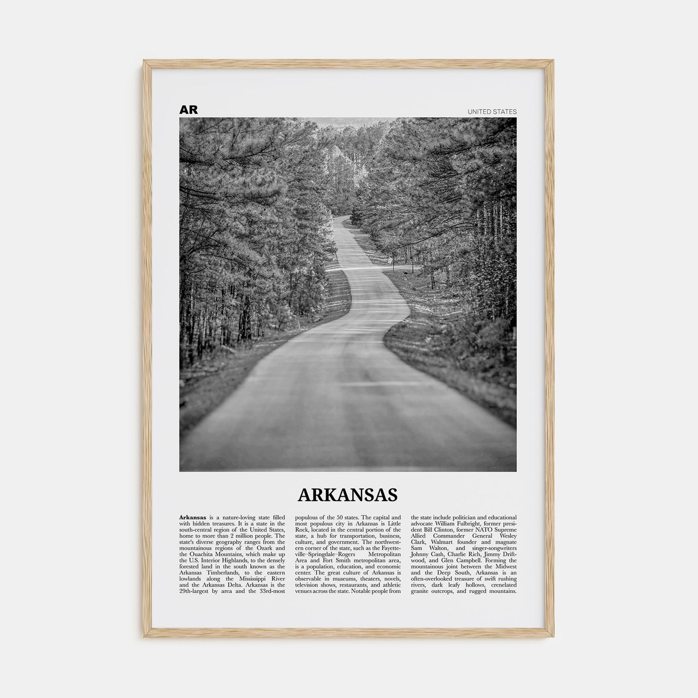 Arkansas Travel B&W No 1 Poster