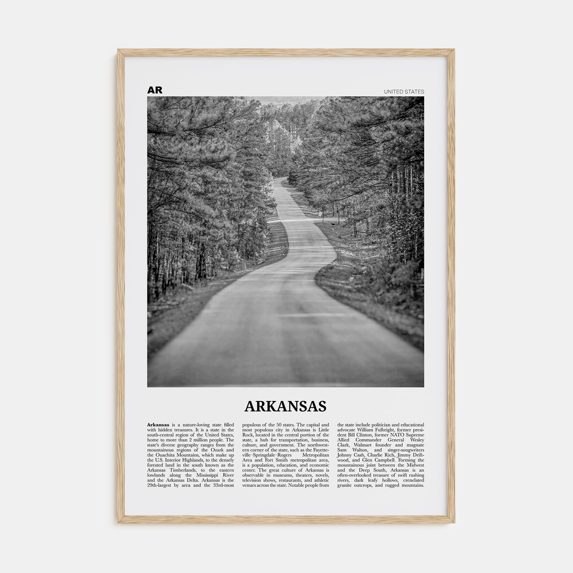 Arkansas Travel B&W No 1 Poster