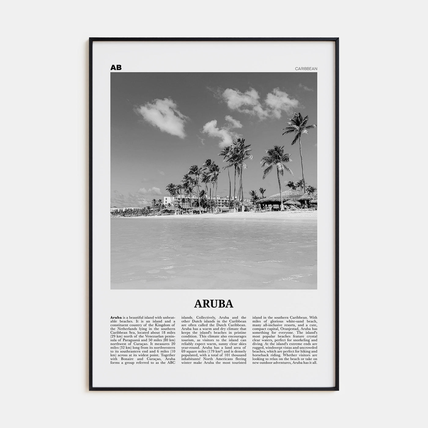Aruba Travel B&W No 1 Poster