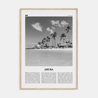 Aruba Travel B&W No 1 Poster