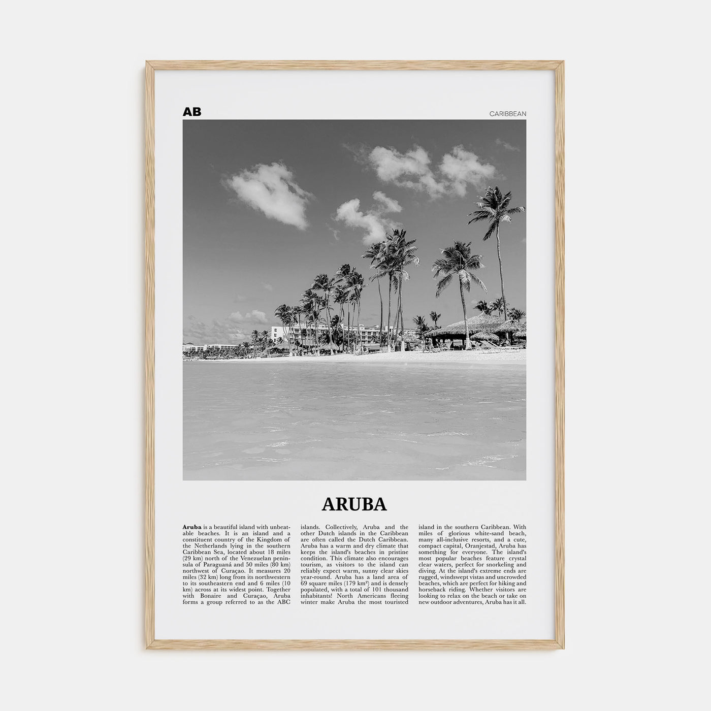 Aruba Travel B&W No 1 Poster