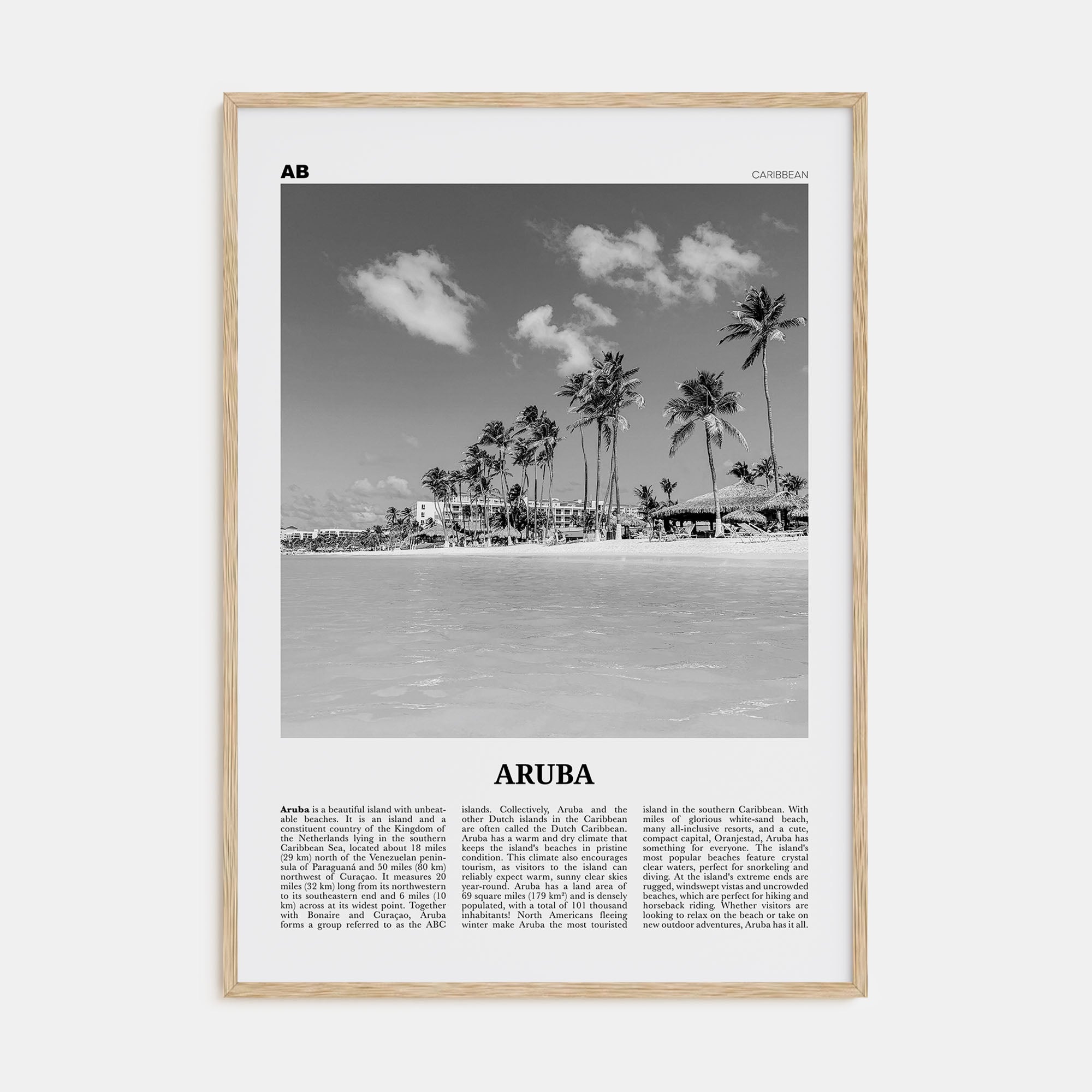 Aruba Travel B&W No 1 Poster