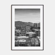 Asheville Photo B&W Poster