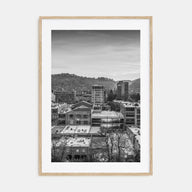 Asheville Photo B&W Poster
