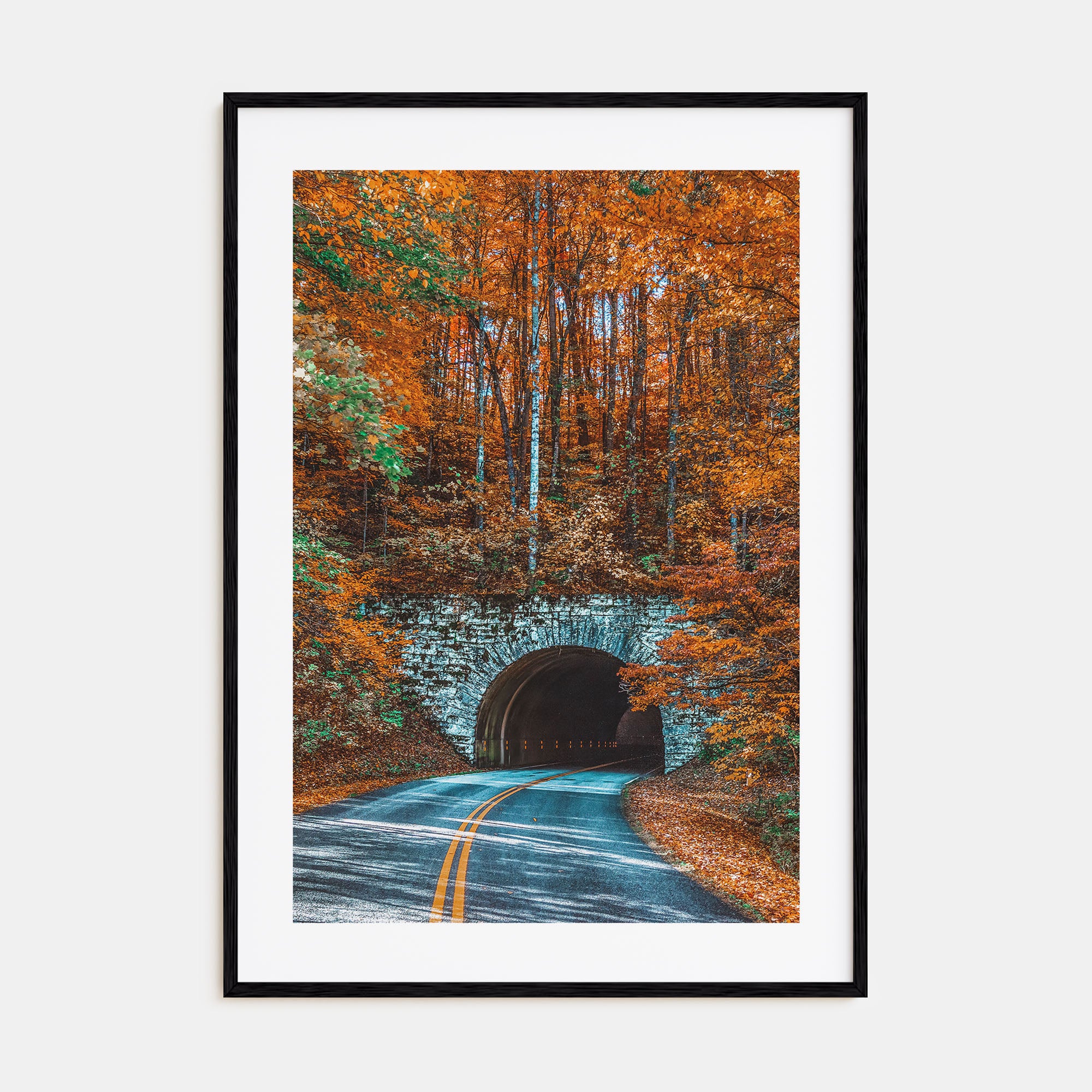 Asheville Photo Color No 2 Poster