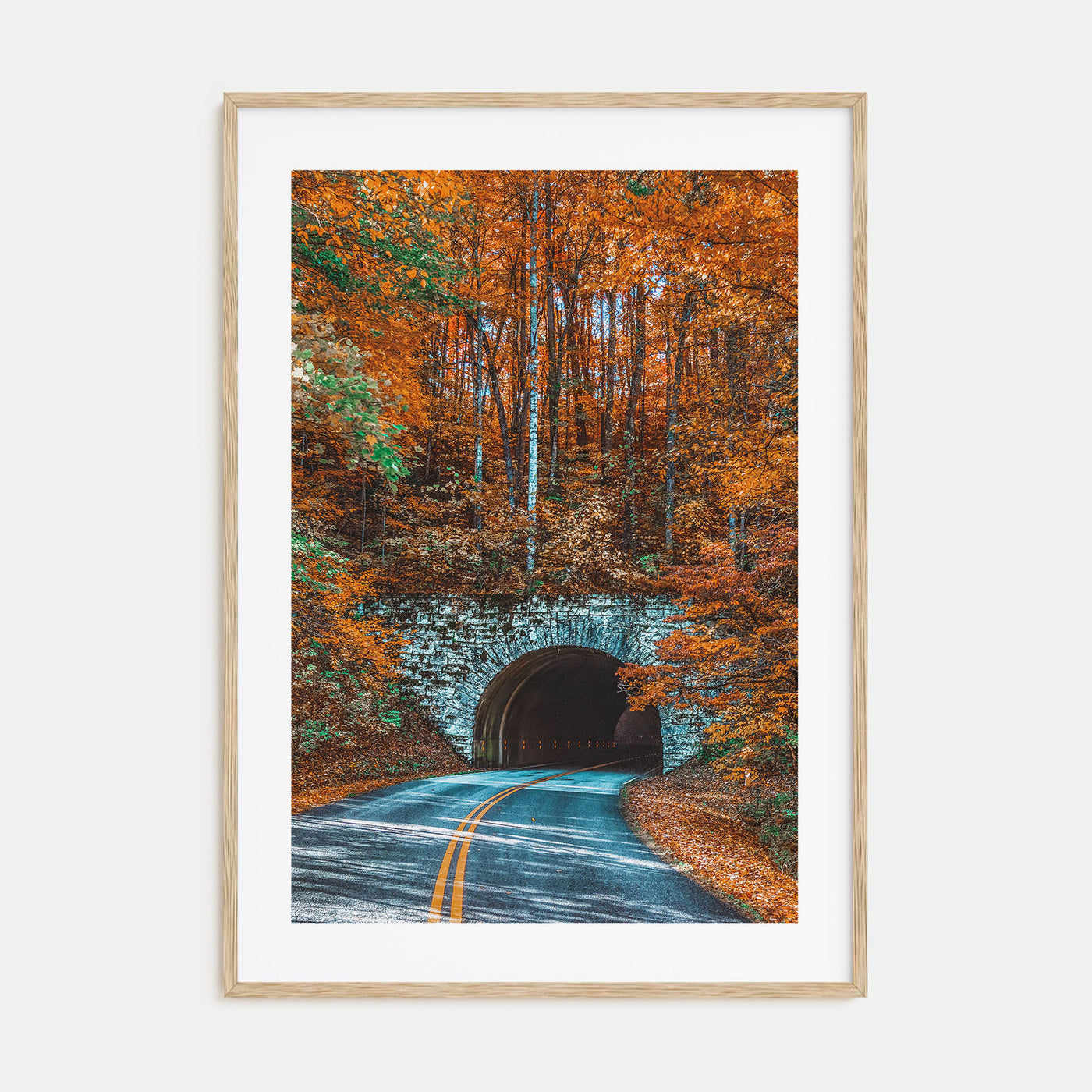 Asheville Photo Color No 2 Poster
