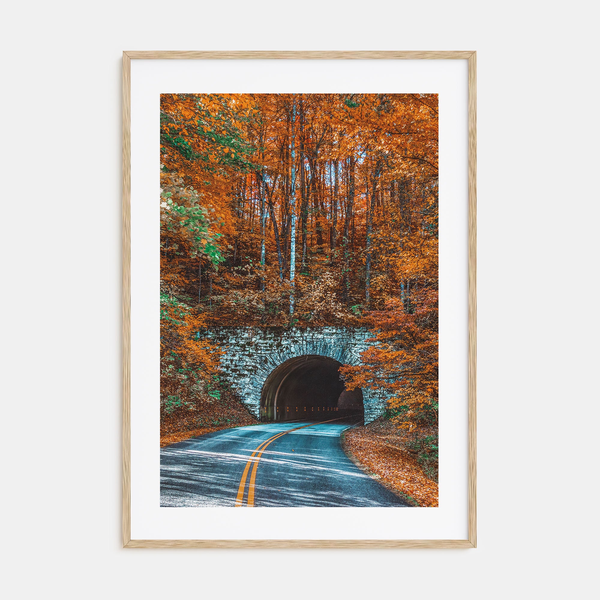 Asheville Photo Color No 2 Poster