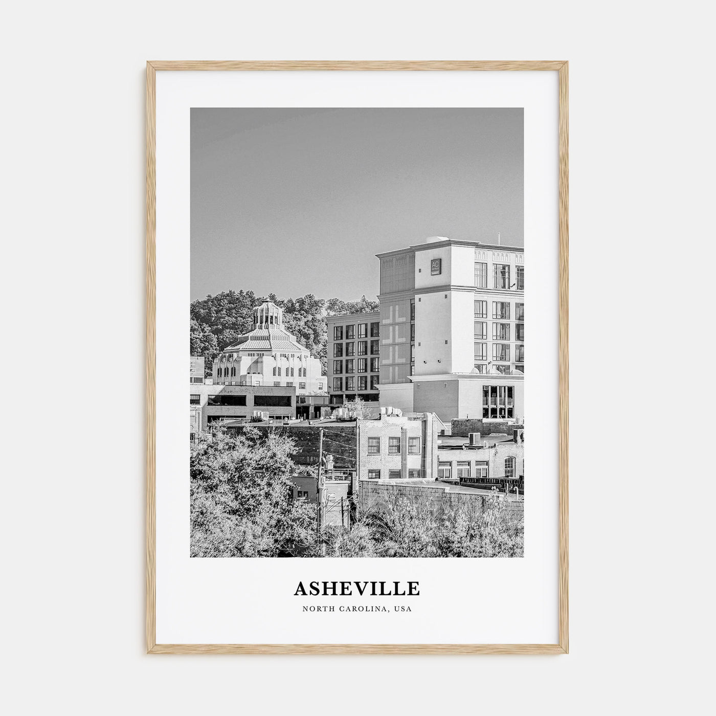 Asheville Portrait B&W No 1 Poster