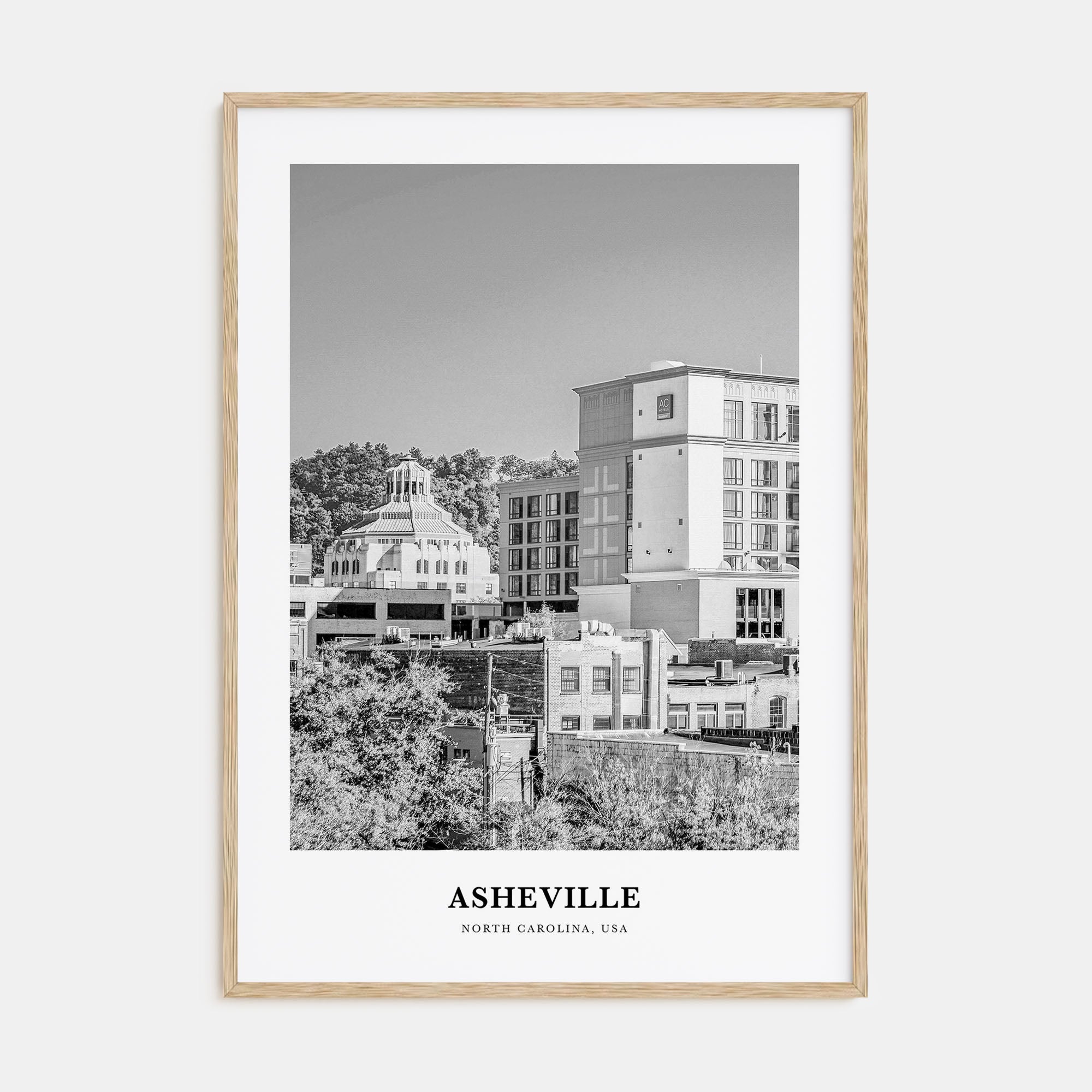 Asheville Portrait B&W No 1 Poster
