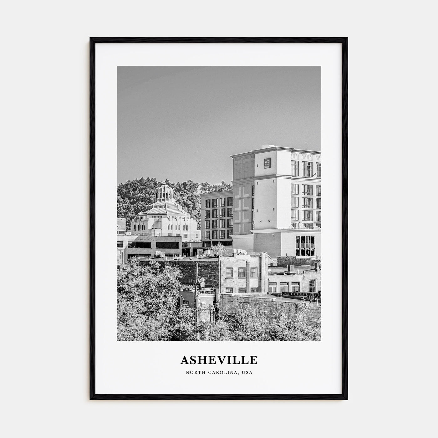 Asheville Portrait B&W No 1 Poster