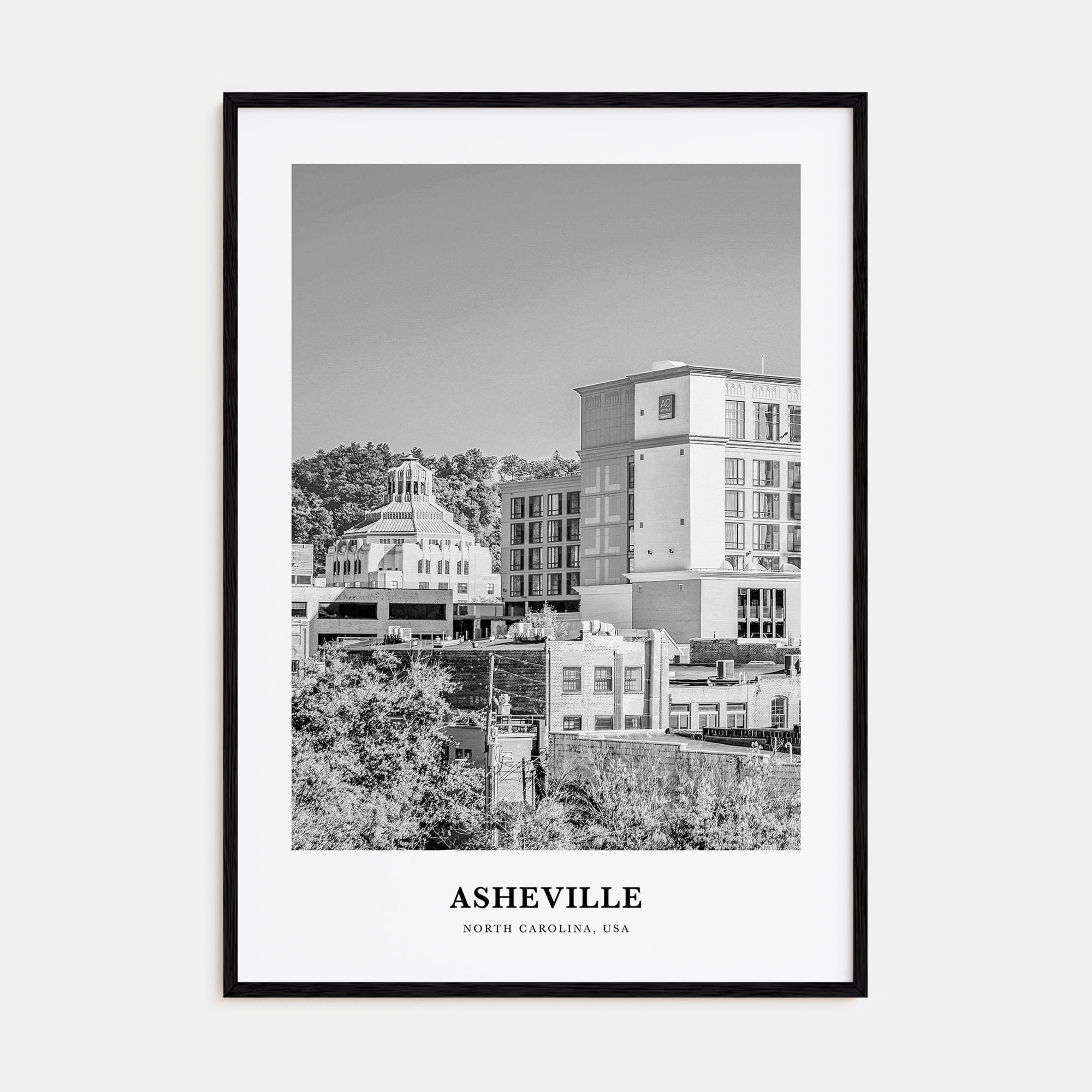 Asheville Portrait B&W No 1 Poster