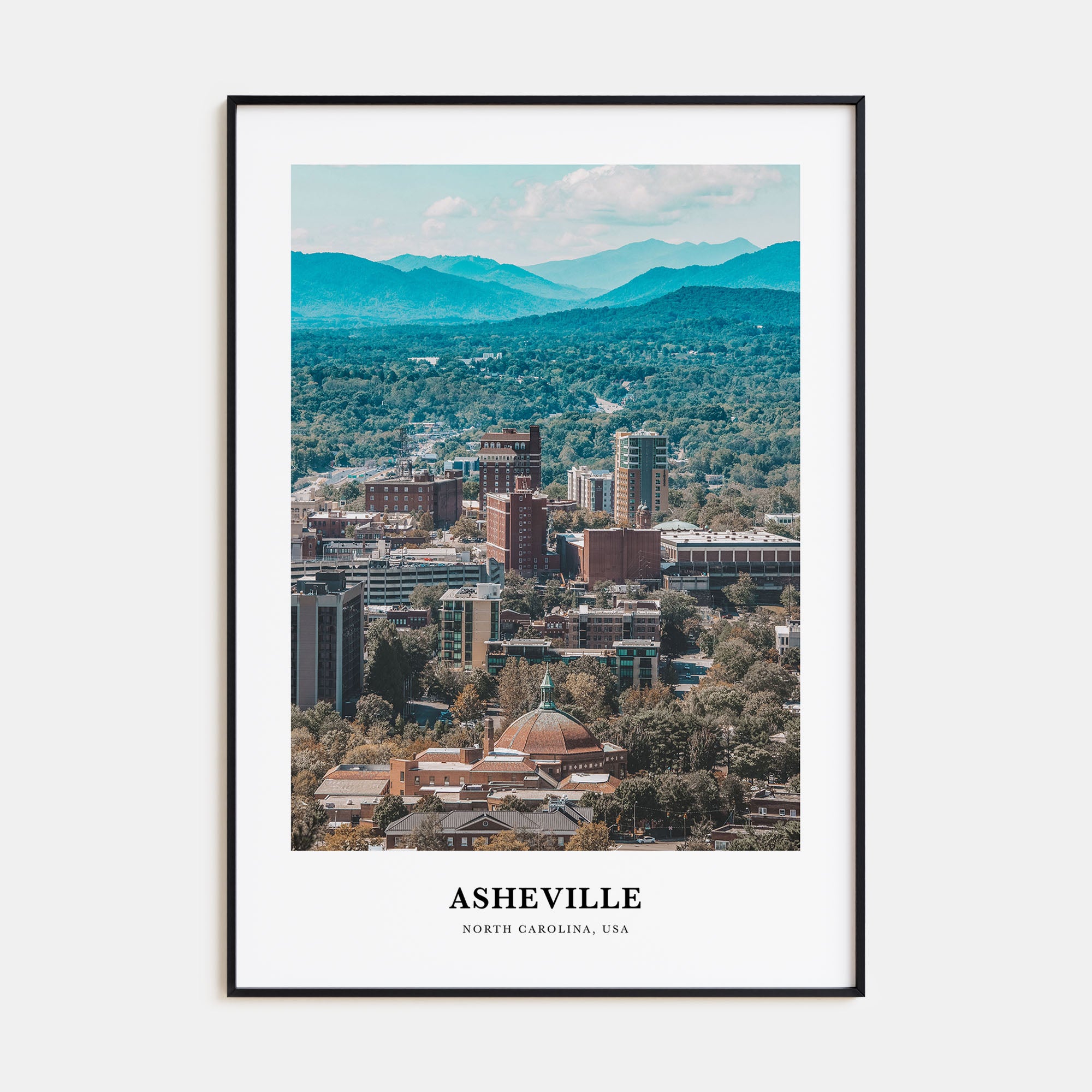 Asheville Portrait Color Poster