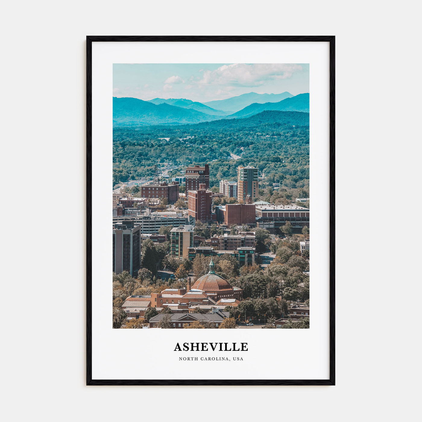 Asheville Portrait Color Poster