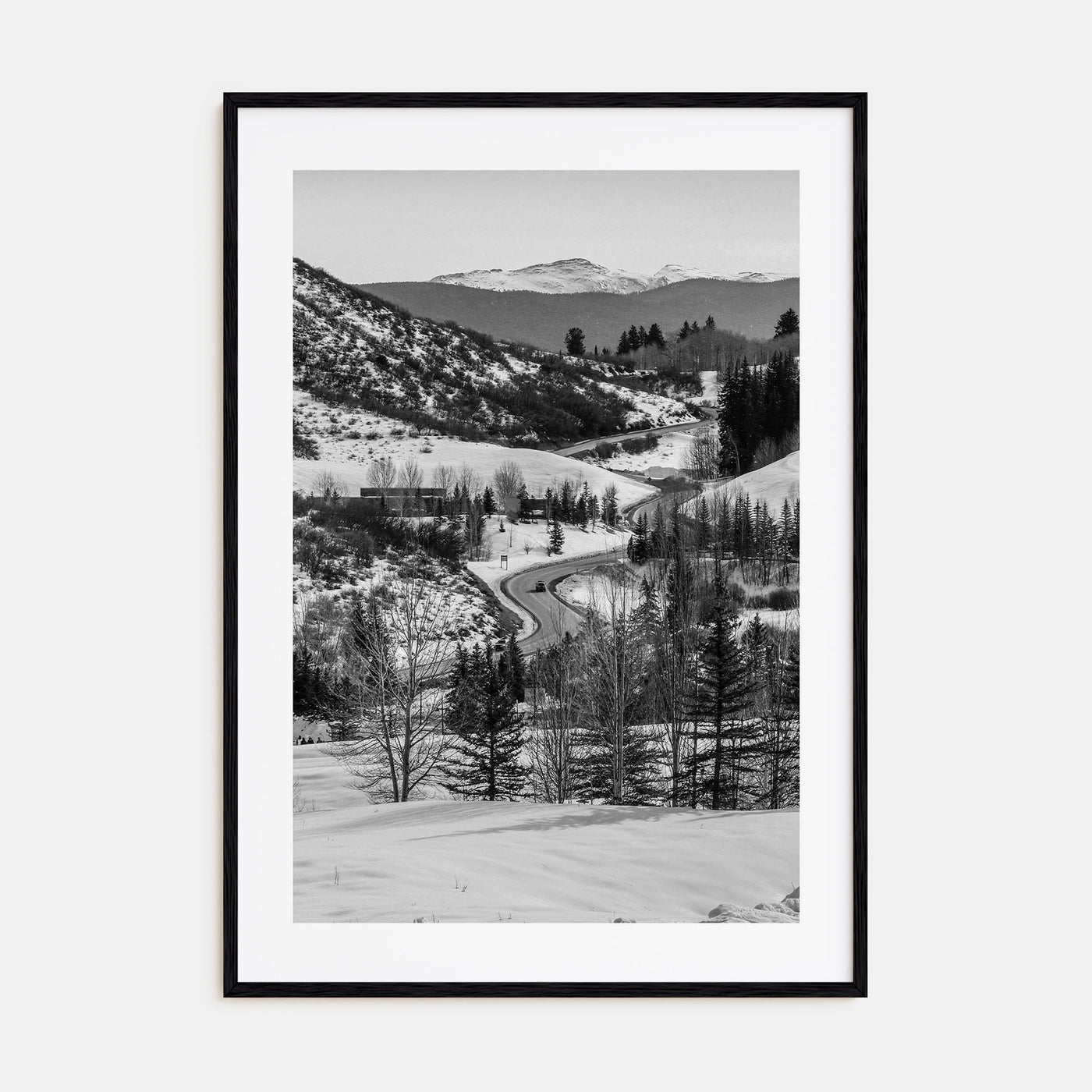 Aspen Photo B&W No 1 Poster