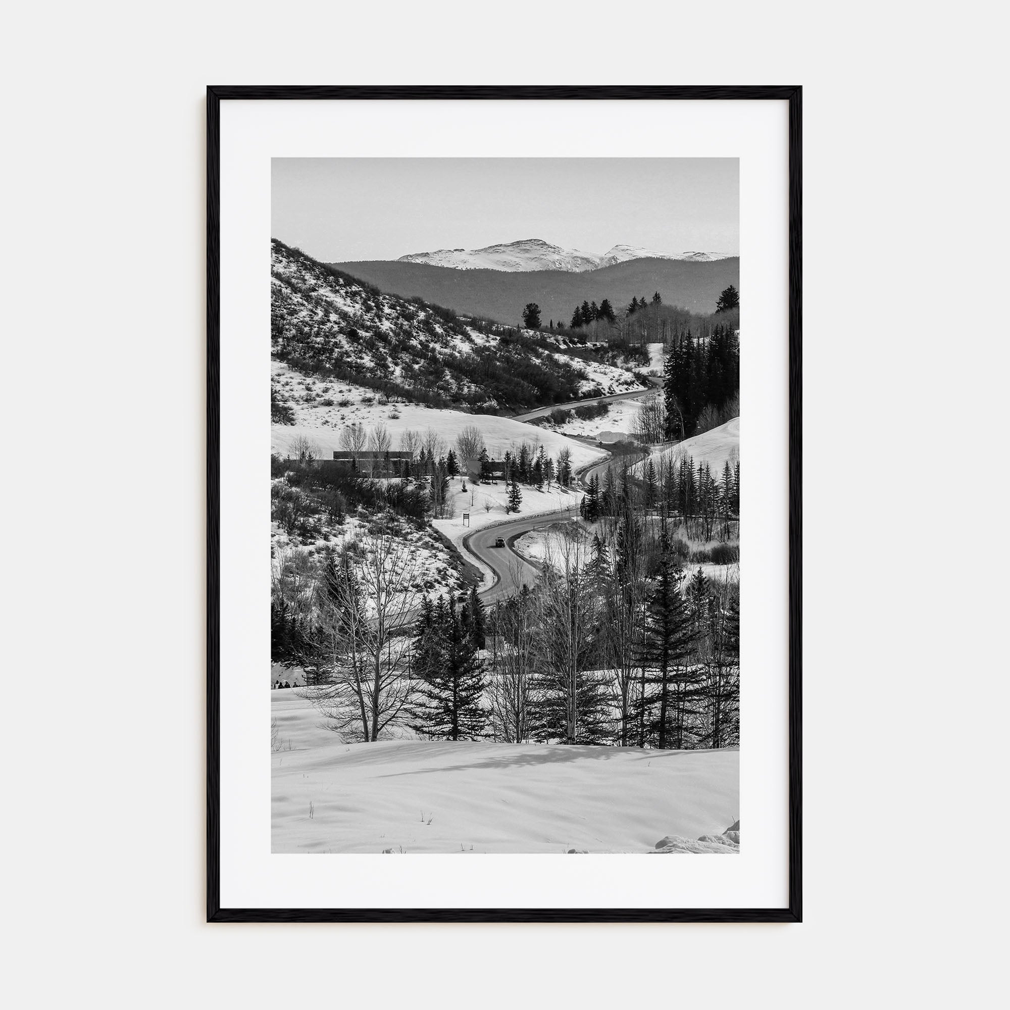 Aspen Photo B&W No 1 Poster