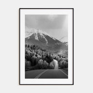 Aspen Photo B&W No 2 Poster
