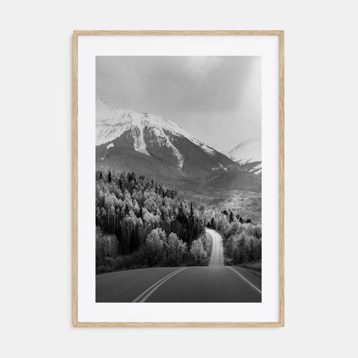 Aspen Photo B&W No 2 Poster