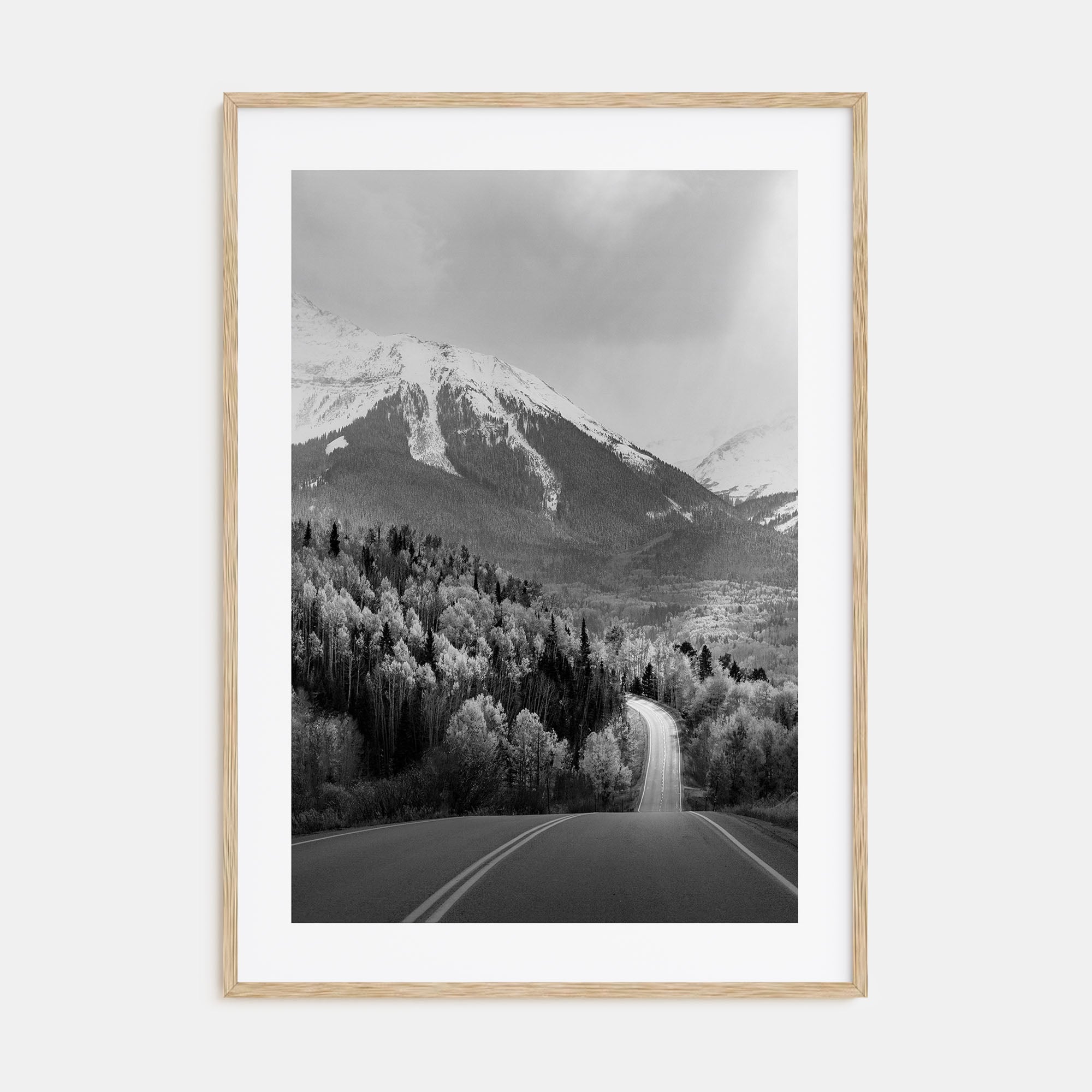 Aspen Photo B&W No 2 Poster