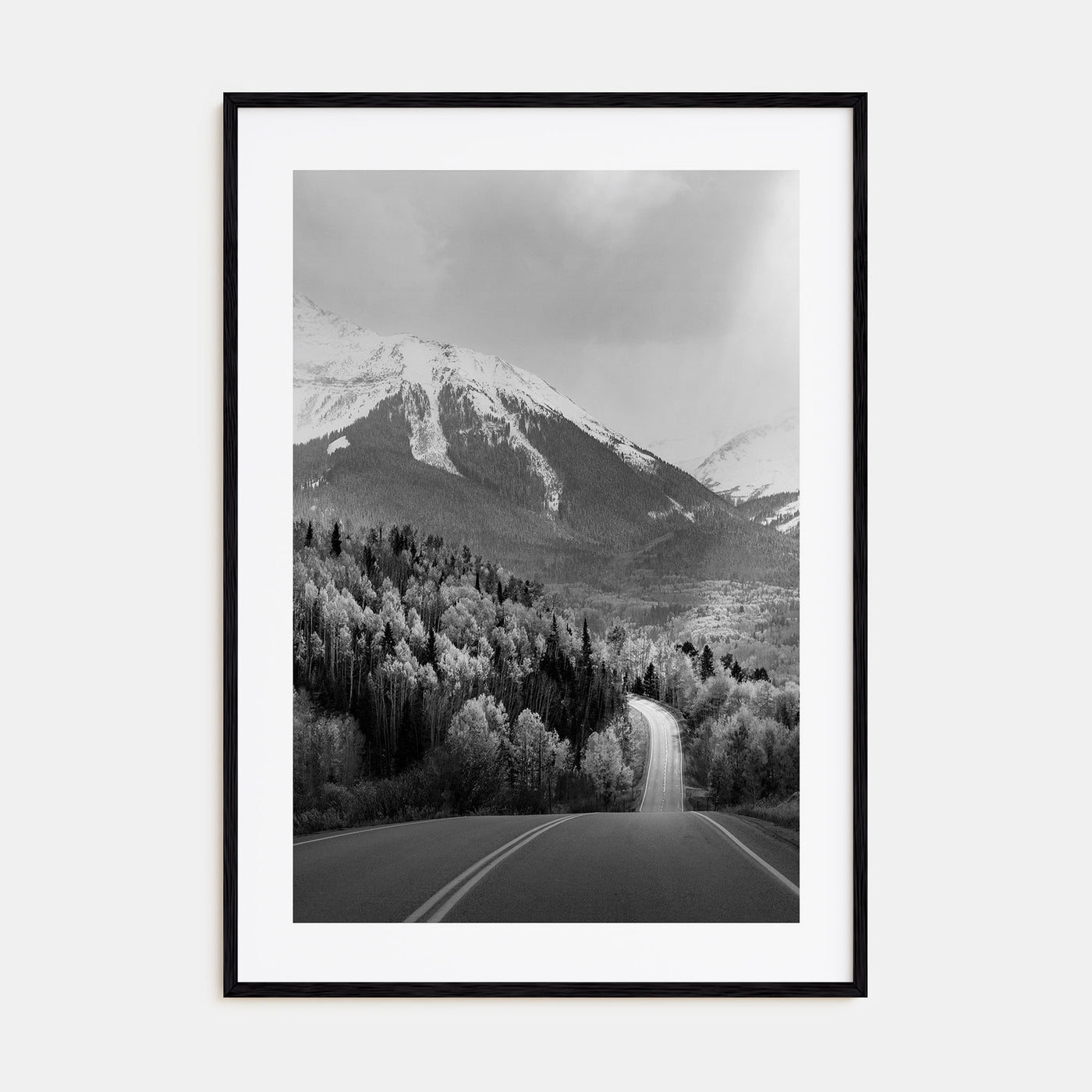 Aspen Photo B&W No 2 Poster