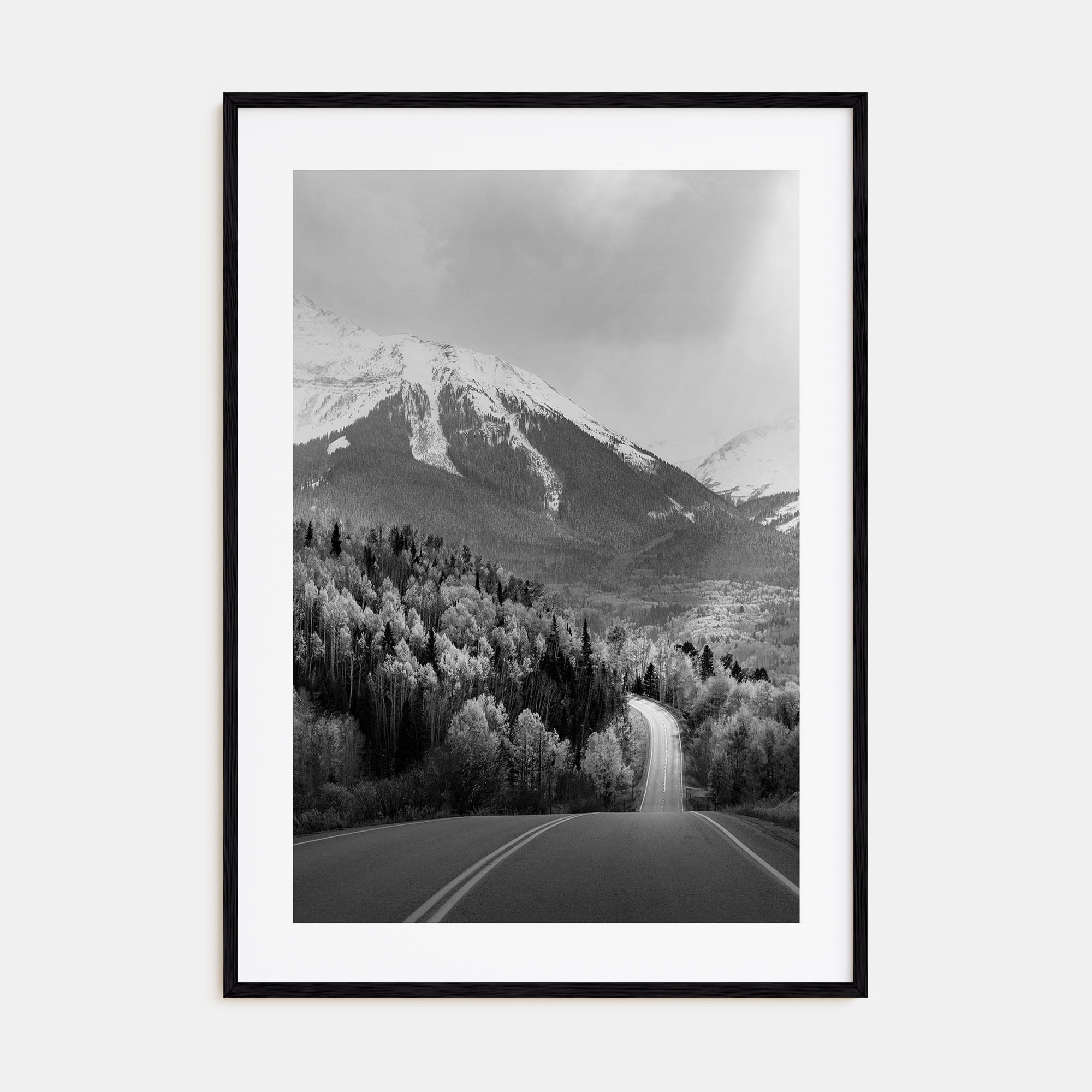 Aspen Photo B&W No 2 Poster