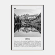 Aspen Travel B&W Poster