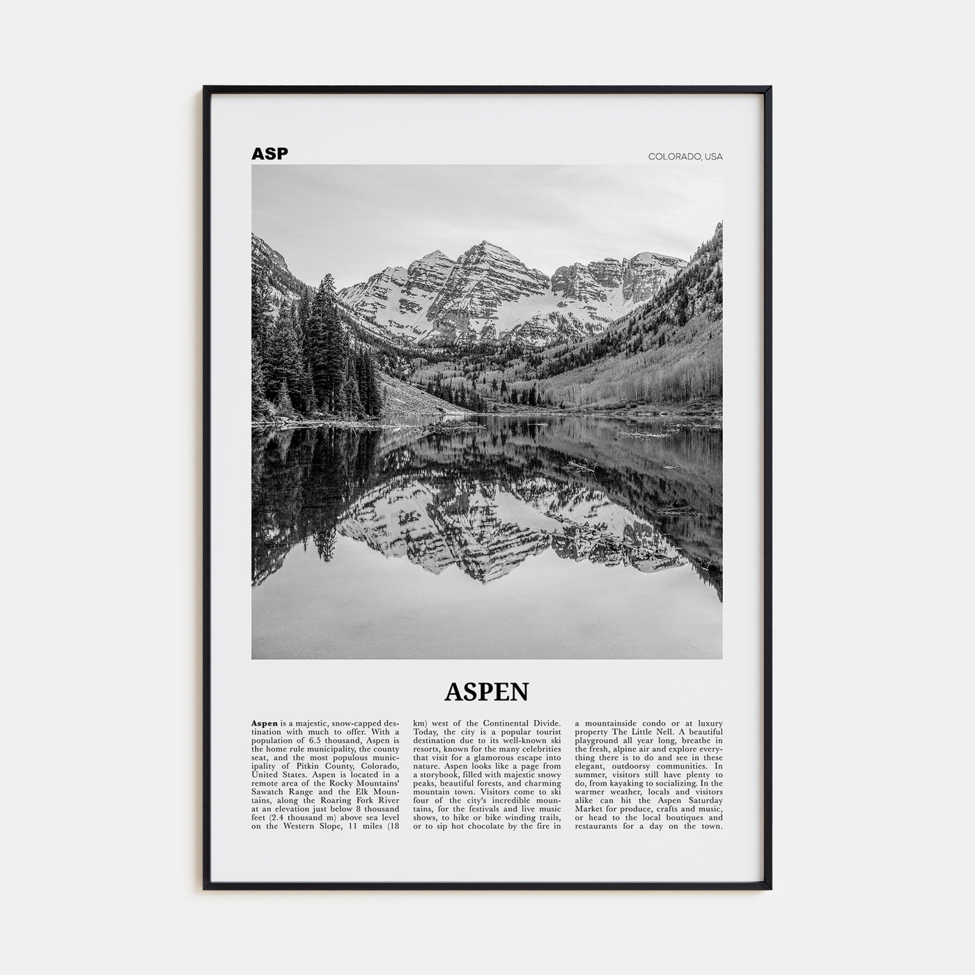 Aspen Travel B&W Poster