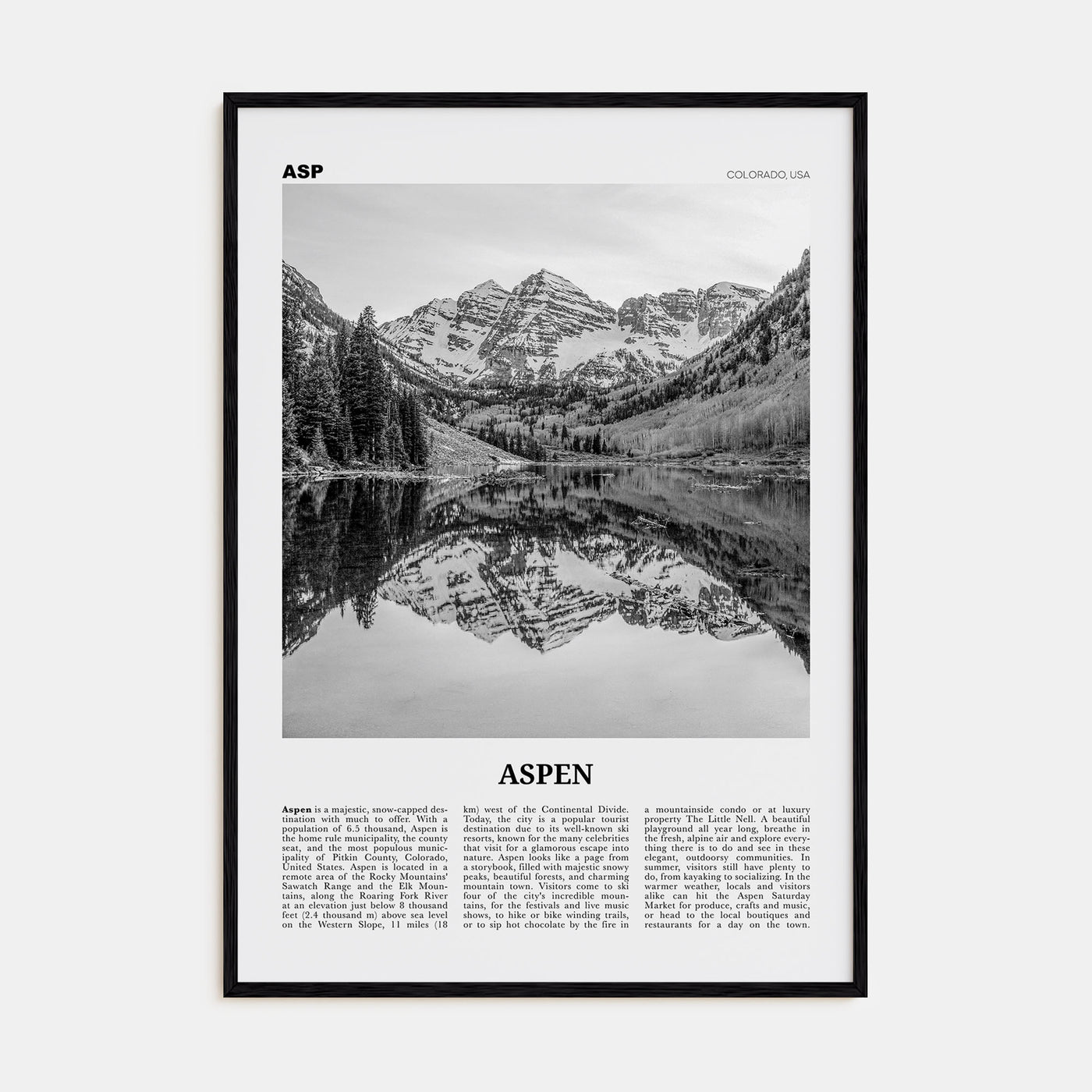 Aspen Travel B&W Poster