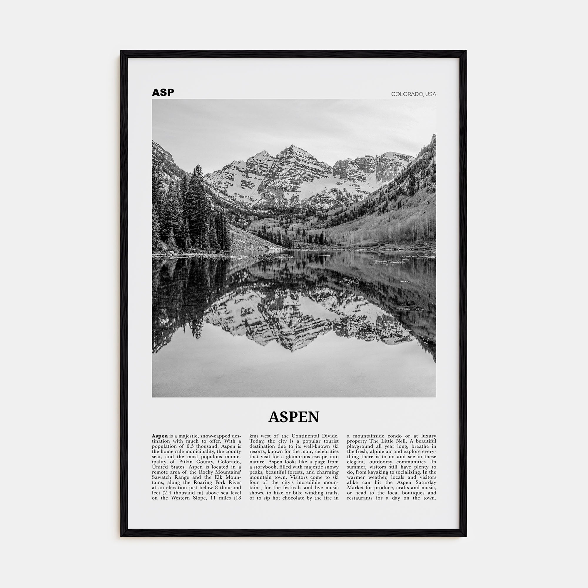 Aspen Travel B&W Poster