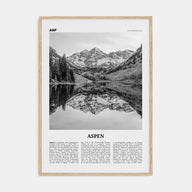 Aspen Travel B&W Poster