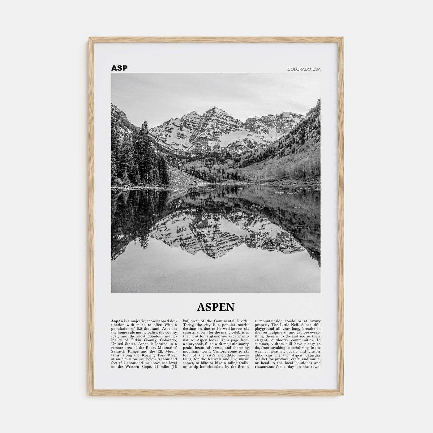 Aspen Travel B&W Poster