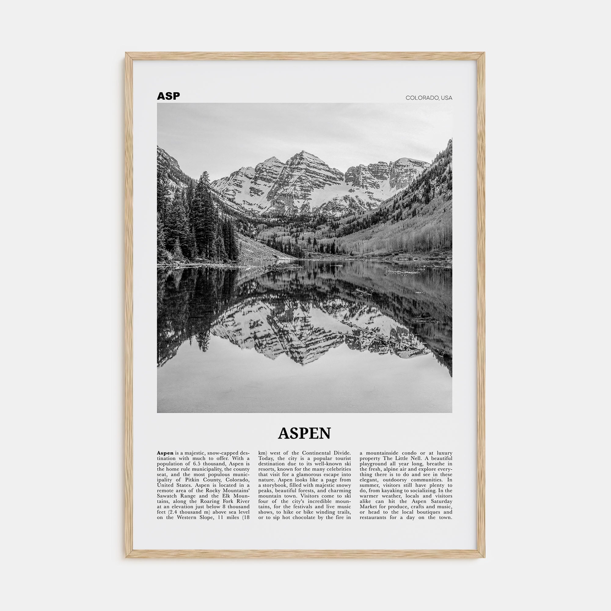 Aspen Travel B&W Poster