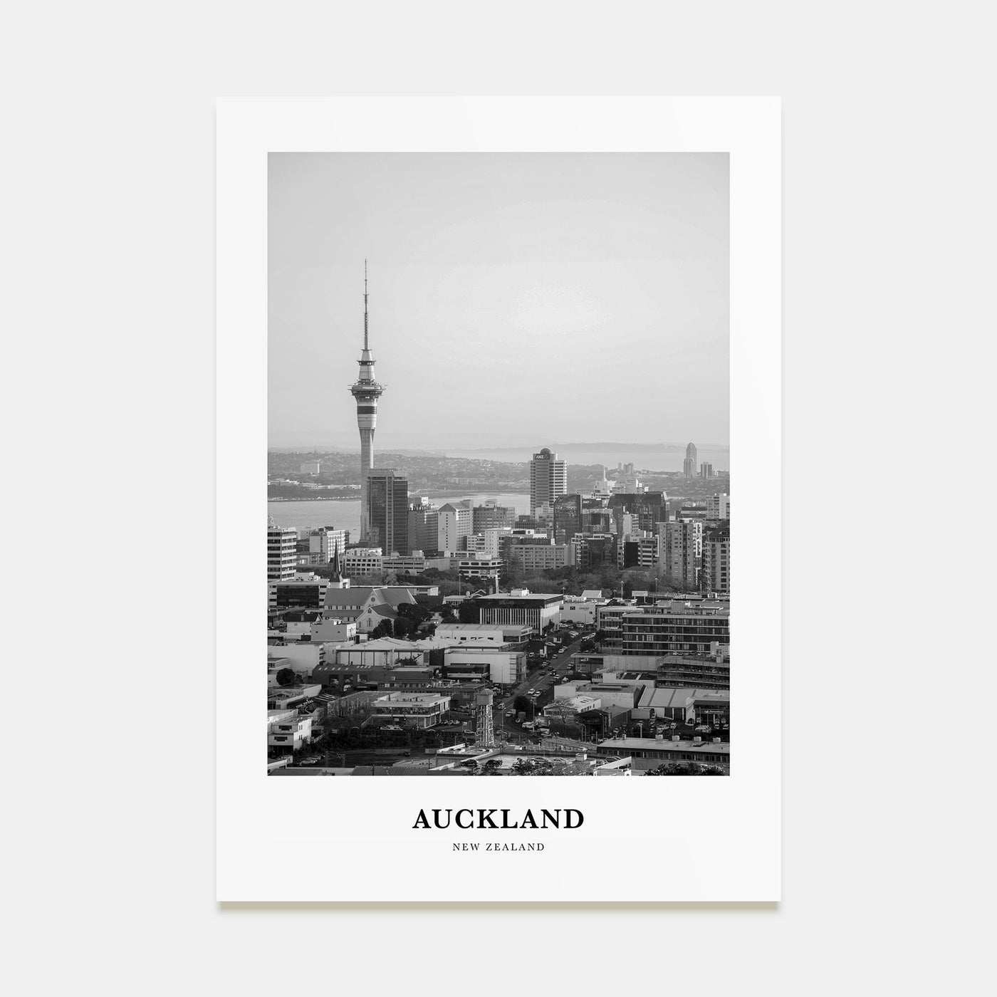 Auckland Portrait B&W No 1 Poster