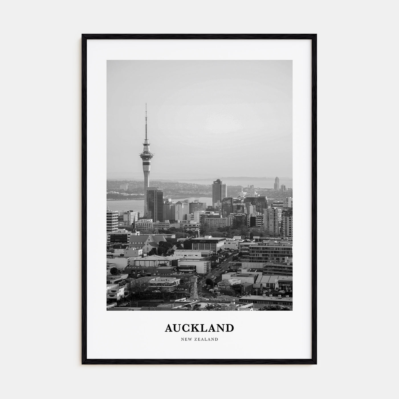 Auckland Portrait B&W No 1 Poster