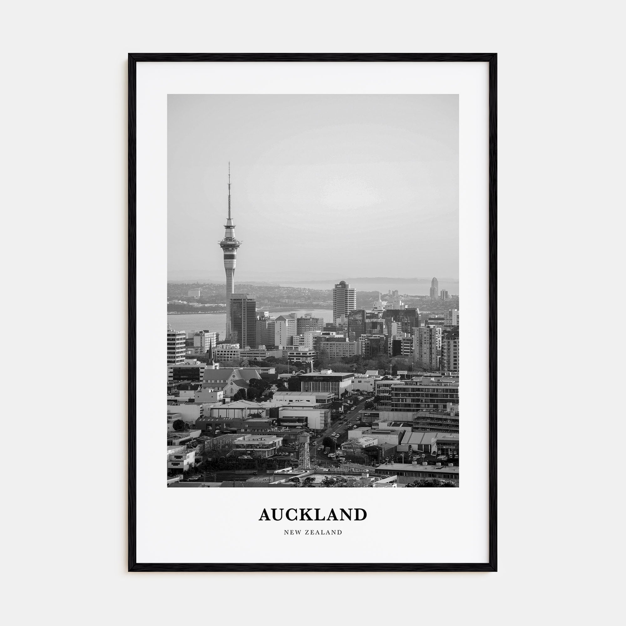 Auckland Portrait B&W No 1 Poster