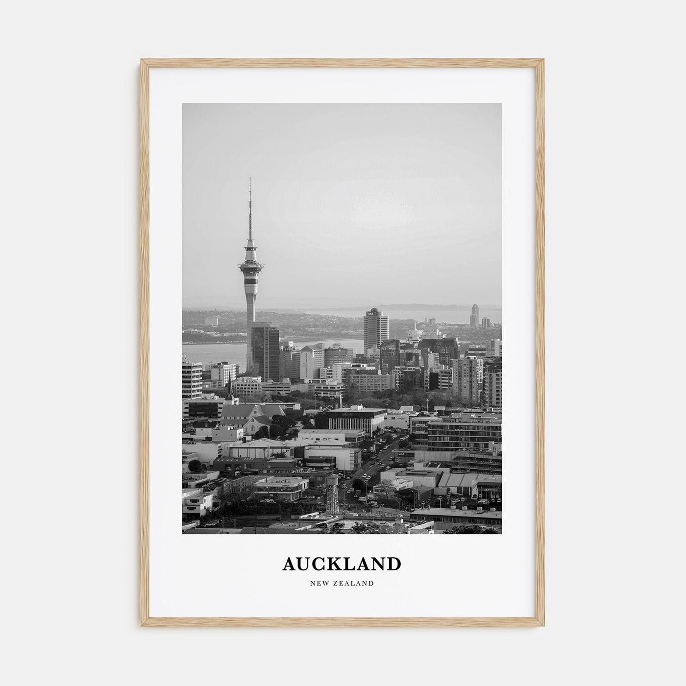 Auckland Portrait B&W No 1 Poster